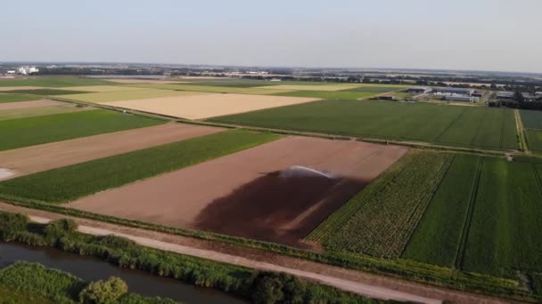 オランダのバレンドレヒト地方の近くの広大な農地 空中プルバックショット — ストック動画