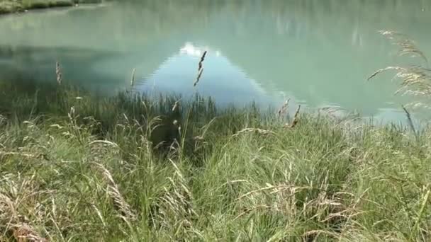 Riflessione Delle Montagne Sul Tranquillo Paesaggio Acquatico Del Lago Klammsee — Video Stock