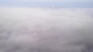 Zwijndrecht 'teki Nehri kaplayan kalın sisin yanından geçen bir geminin muğlak figürü. statik çekim