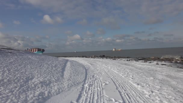 Marstal Maersk Ship Intermodal Containers Żeglarstwo Oceanie Inbound Rotterdam Holandia — Wideo stockowe