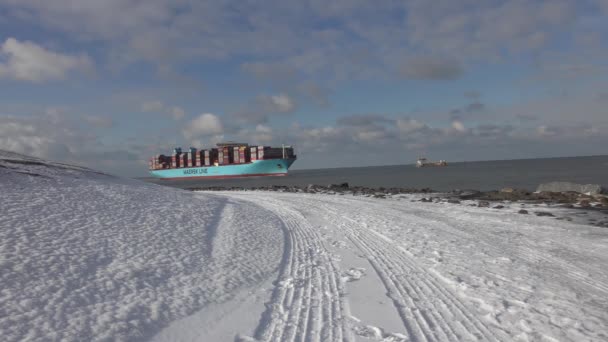 輸入品とともに港に到着するコンテナでいっぱいの大型貨物船 — ストック動画