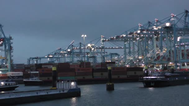Navires Terminaux Fret Apm Crépuscule Aube Commerce Import Export Ship — Video
