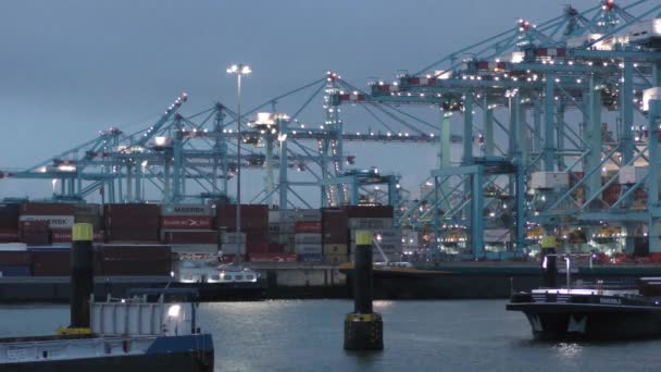 Cranes Cargo Containers Apm Terminals Maasvlakte Dusk Logistic Service Port — 비디오