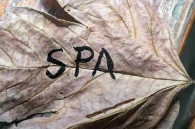 Sonbaharın kurumuş yaprağında siyah boyayla yazılmış bir kaplıca. 