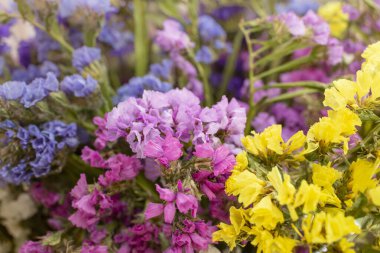 Renkli çiçek buketi deseni kapatır (Limonyum sinuatum, Statice sinuata) renklerin varyasyonuyla  