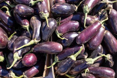 Piyasa rafında taze patlıcan, karton kutularda, tam çerçeve. 