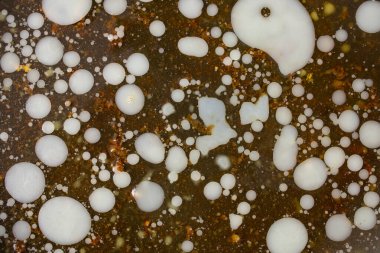 Su yüzeyindeki katı yağ ya da yağ halkaları kavrulmuş bir tavada, soyut desende.