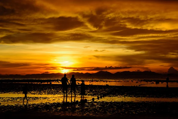 Aile zamanı sahilde