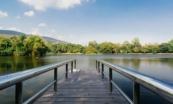 Orman köprü önünde