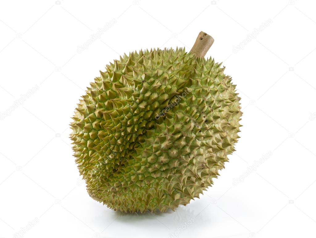 Durian on white background