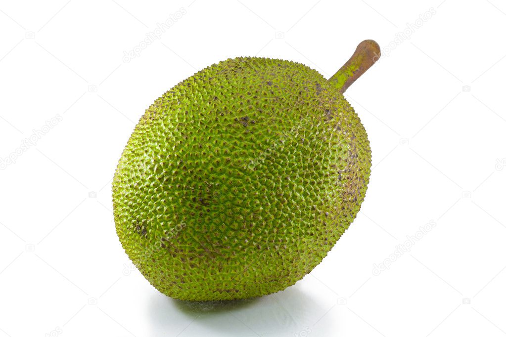 Jackfruit on white background