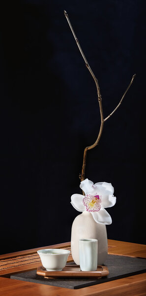 Tea still life with orchid