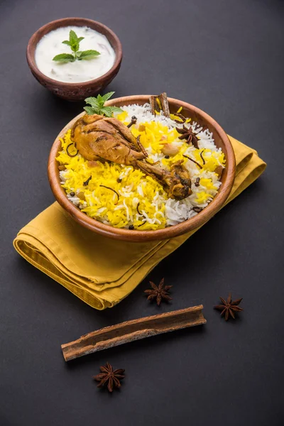 在美丽喜怒无常的背景下，选择性聚焦酸奶蘸鸡 Biryani — 图库照片