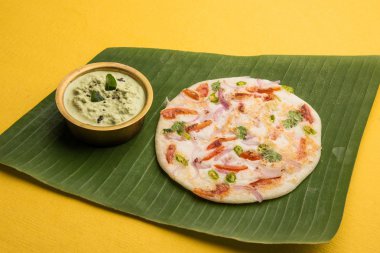 south indian food, two uttapam with coconut chutney in white ceramic plate with coriander leaf, closeup and front view, isolated clipart