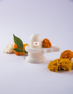 Siyah taş çiçekler ve siyah arka plan üzerinde maha shiva ratri bir festival hindu Tanrı shankar ya da shankar bhagwan ya da bholenath Aegle marmelos bilinen bael yaprak ile dekore edilmiş, Shiva Linga oluşan