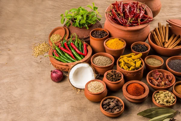 Indian spices in terracotta pots, indian colourful spices, group of indian spices, group of spices, india and spices arranged in different size terracotta pots — Stock Photo, Image