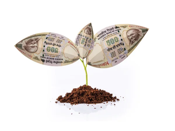 Moneda india nota que crece en la planta, planta del dinero, dinero en el árbol, árbol de la moneda, rupia india y planta, rupia india y crecimiento, moneda india y concepto de crecimiento — Foto de Stock