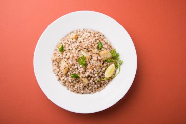 Geçmişte Khichadi - Sagopa Kajmer tohumları ile yapılan Maharashtra otantik bir yemek lor ile görev yaptı.