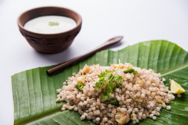 Ahşap bir kabın içinde lor ile Hindistan cevizi yaprağı üzerinde geçmişte Khichadi - Sagopa Kajmer tohumları ile yapılan Maharashtra otantik bir yemek servis