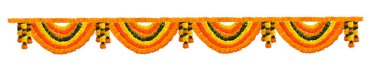 Hint şenlikli dekorasyon - Garland, turuncu ve sarı renkli kadife çiçeği (Tagetes) çiçek ve yaprak yeşil beyaz arka plan üzerinde izole alternatif sırada fotoğraf