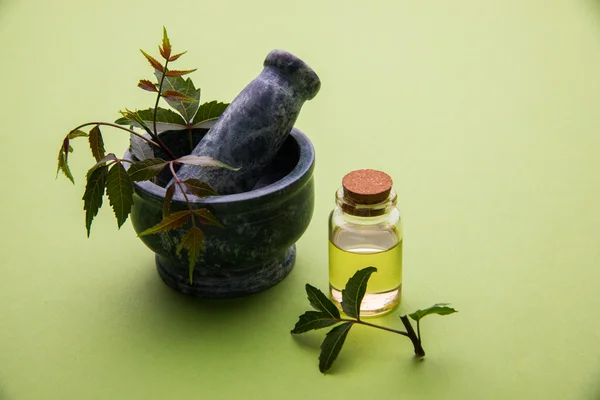 Ayurveda otlar Neem petrol şişe ile harç ile