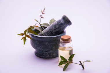 Ayurveda otlar Neem petrol şişe ile harç ile