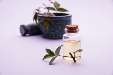 Ayurveda otlar Neem petrol şişe ile harç ile