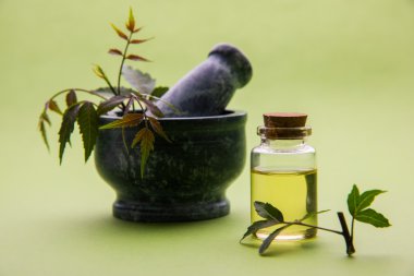 Ayurveda otlar Neem petrol şişe ile harç ile
