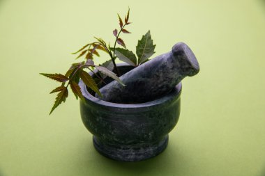 Ayurveda otlar Neem petrol şişe ile harç ile