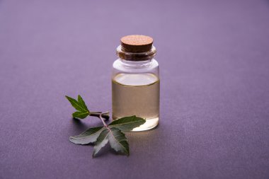 Ayurveda otlar Neem petrol şişe ile harç ile