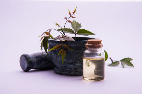 Ayurveda otlar Neem petrol şişe ile harç ile