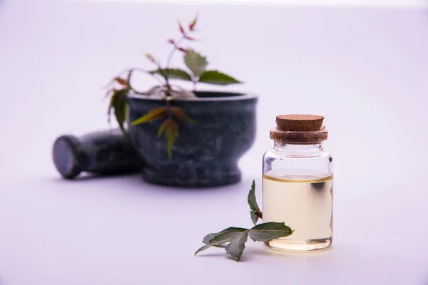 Ervas Ayurvédicas Neem com Óleo em garrafa com argamassa — Fotografia de Stock