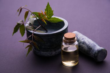 Ayurveda otlar Neem petrol şişe ile harç ile