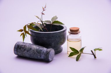 Ayurveda otlar Neem petrol şişe ile harç ile