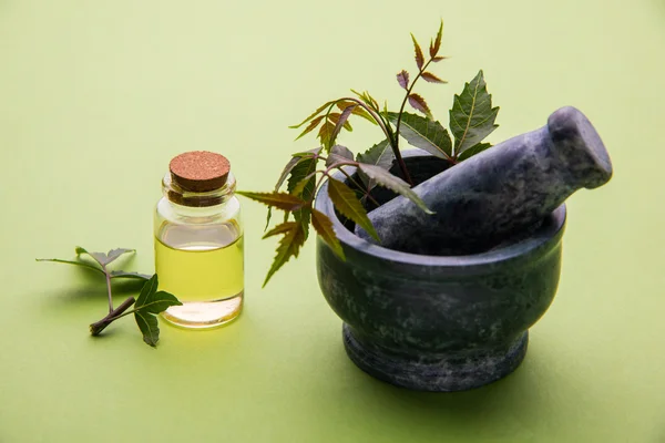 Ayurvedic βότανα Neem με το λάδι στο μπουκάλι με το κονίαμα — Φωτογραφία Αρχείου