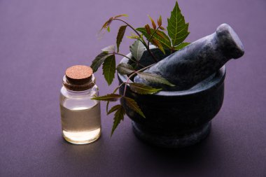 Ayurveda otlar Neem petrol şişe ile harç ile