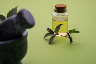 Ayurveda otlar Neem petrol şişe ile harç ile