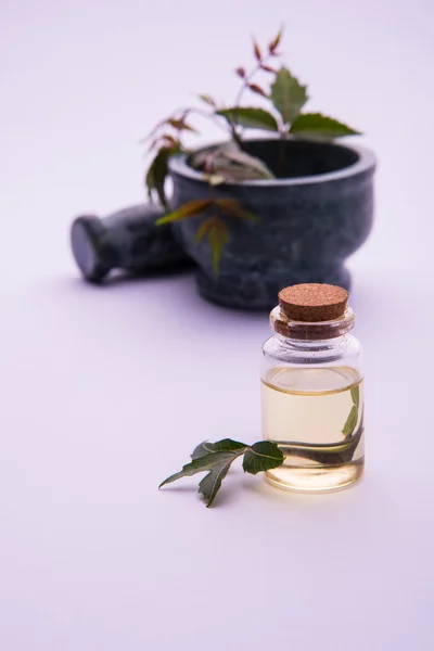 Ayurvedische Kräuter neem mit Öl in Flasche mit Mörser — Stockfoto