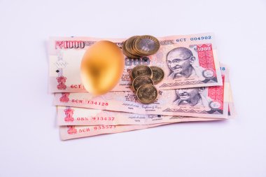 A gold egg on a pile of indian currency notes
