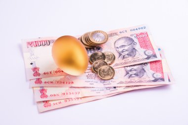 A gold egg on a pile of indian currency notes