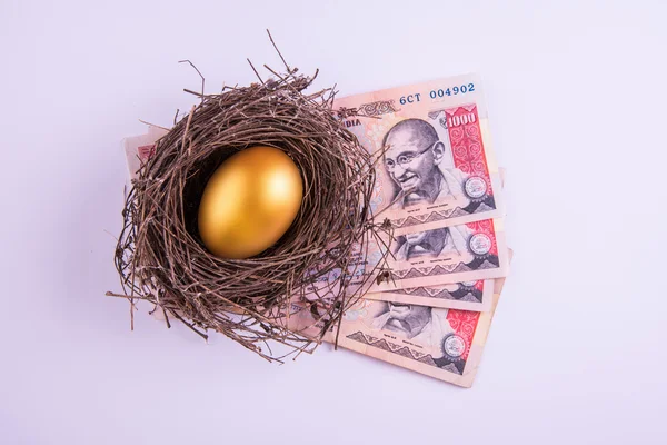 Zlatá vejce, sedí v hnízdě plnými peněz včetně indické 1000 Rupie bankovky — Stock fotografie