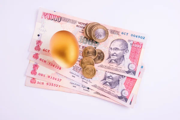 A gold egg on a pile of indian currency notes — Stock Photo, Image