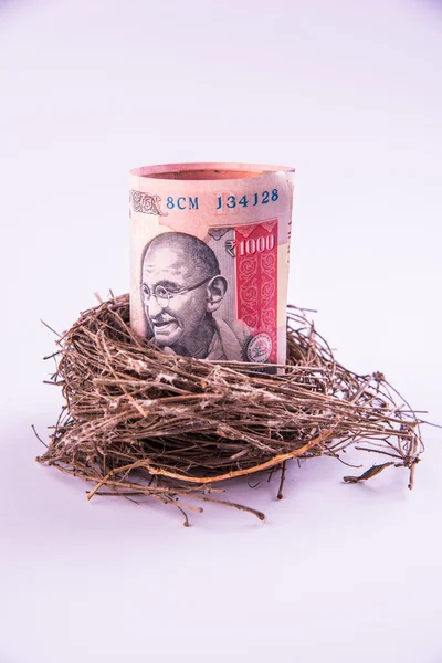 Originální ptačí hnízdo s indickou papírové bankovky. Nové obchody od bankovek. Obchodní koncept. — Stock fotografie