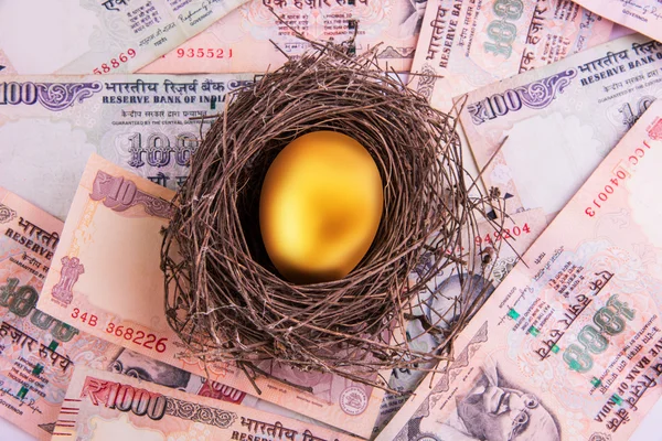 Un huevo de oro sentado en un nido lleno de efectivo incluyendo billetes de 1000 rupias indias —  Fotos de Stock