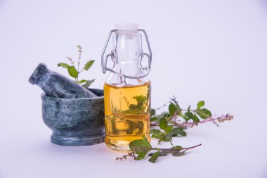 Mehmet yağı veya kutsal fesleğen yağı ile harç ve havaneli, Mehmet ya da kutsal fesleğen bitki qeen Ayurveda Hindistan'da eski zamanlardan beri olduğunu