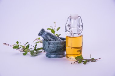 Mehmet yağı veya kutsal fesleğen yağı ile harç ve havaneli, Mehmet ya da kutsal fesleğen bitki qeen Ayurveda Hindistan'da eski zamanlardan beri olduğunu