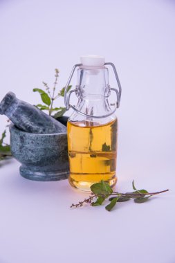 Mehmet yağı veya kutsal fesleğen yağı ile harç ve havaneli, Mehmet ya da kutsal fesleğen bitki qeen Ayurveda Hindistan'da eski zamanlardan beri olduğunu