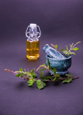 Mehmet yağı veya kutsal fesleğen yağı ile harç ve havaneli, Mehmet ya da kutsal fesleğen bitki qeen Ayurveda Hindistan'da eski zamanlardan beri olduğunu