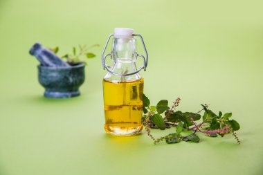 Mehmet yağı veya kutsal fesleğen yağı ile harç ve havaneli, Mehmet ya da kutsal fesleğen bitki qeen Ayurveda Hindistan'da eski zamanlardan beri olduğunu
