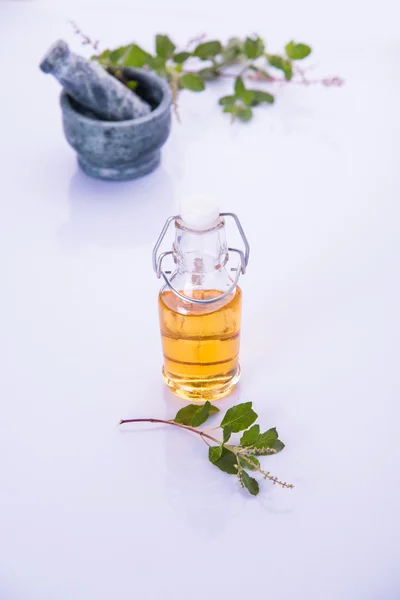 Aceite de Tulsi o aceite de albahaca sagrada con mortero y plaga, tulsi o albahaca sagrada es un qeen de hierba desde la antigüedad en la India en Ayurveda — Foto de Stock